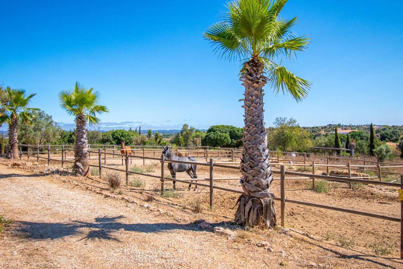Yoba Horse Farm - Charming 3-Bedroom Farmhouse view 4