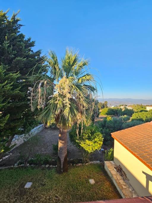The House in Droushia
