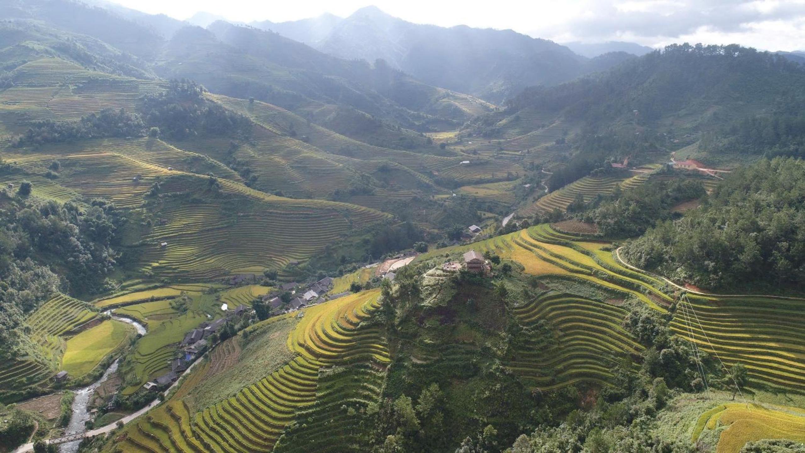 Hello Mu Cang Chai Homestay & Tours