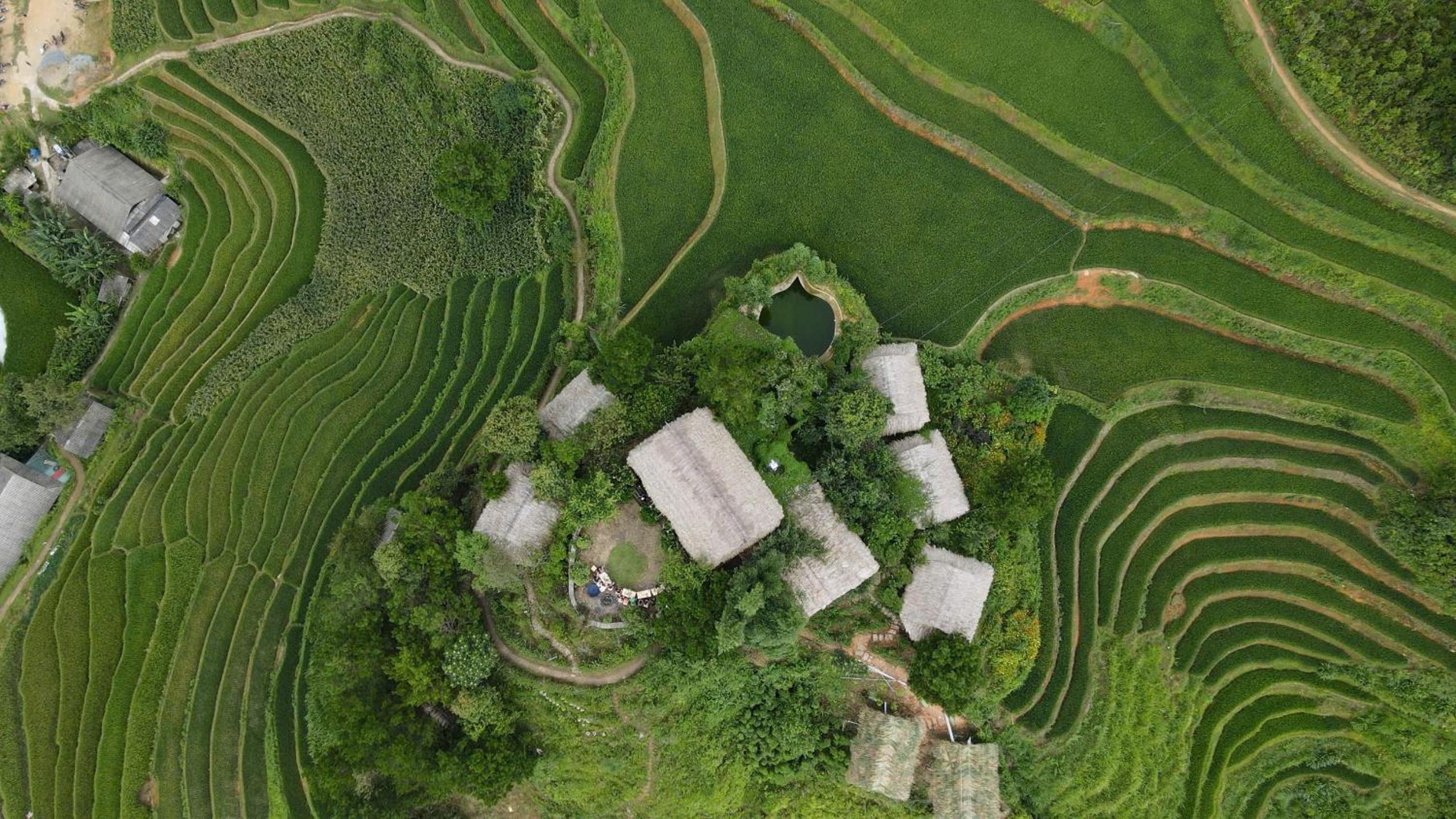 Hello Mu Cang Chai Homestay & Tours