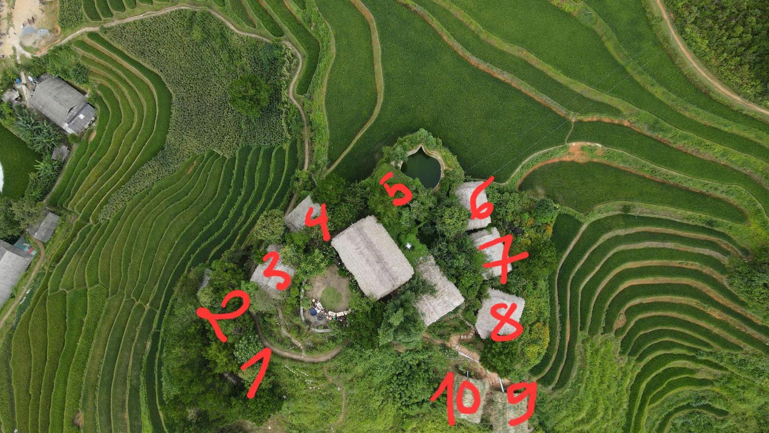 Hello Mu Cang Chai Homestay & Tours