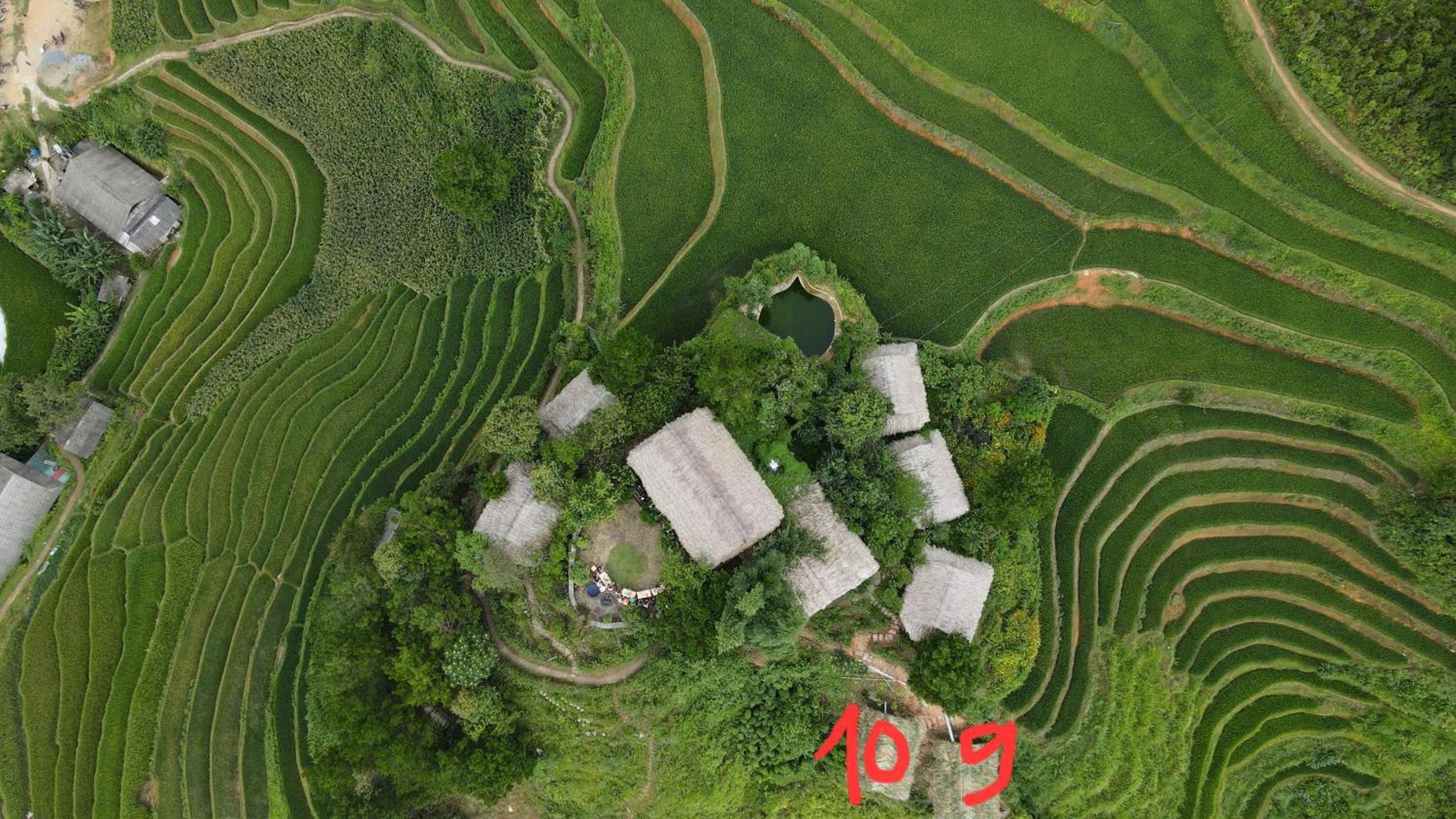 Hello Mu Cang Chai Homestay & Tours