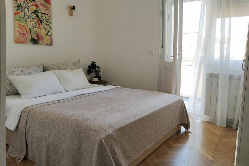Central apt Jovanova