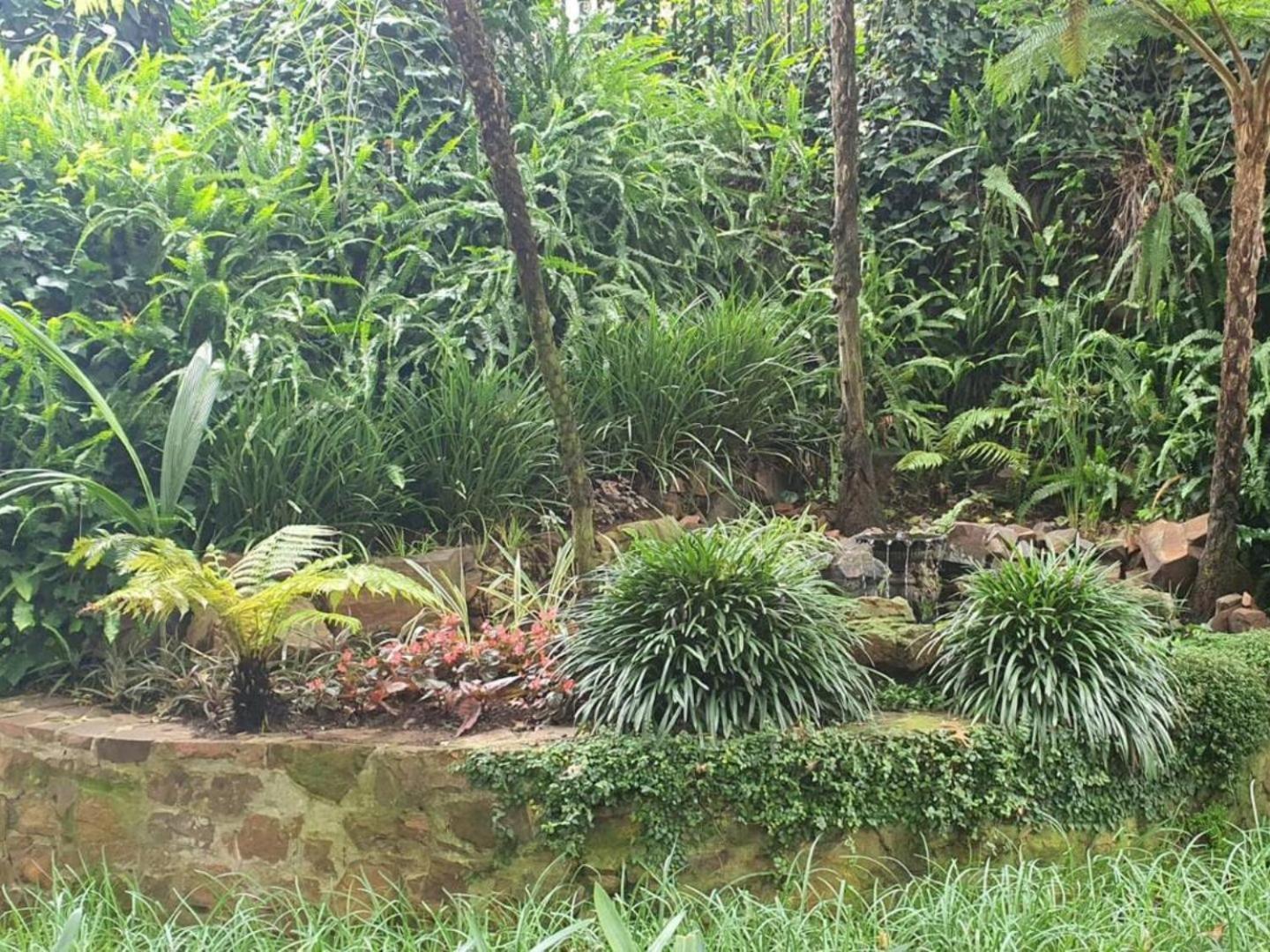 Loerie's Nest