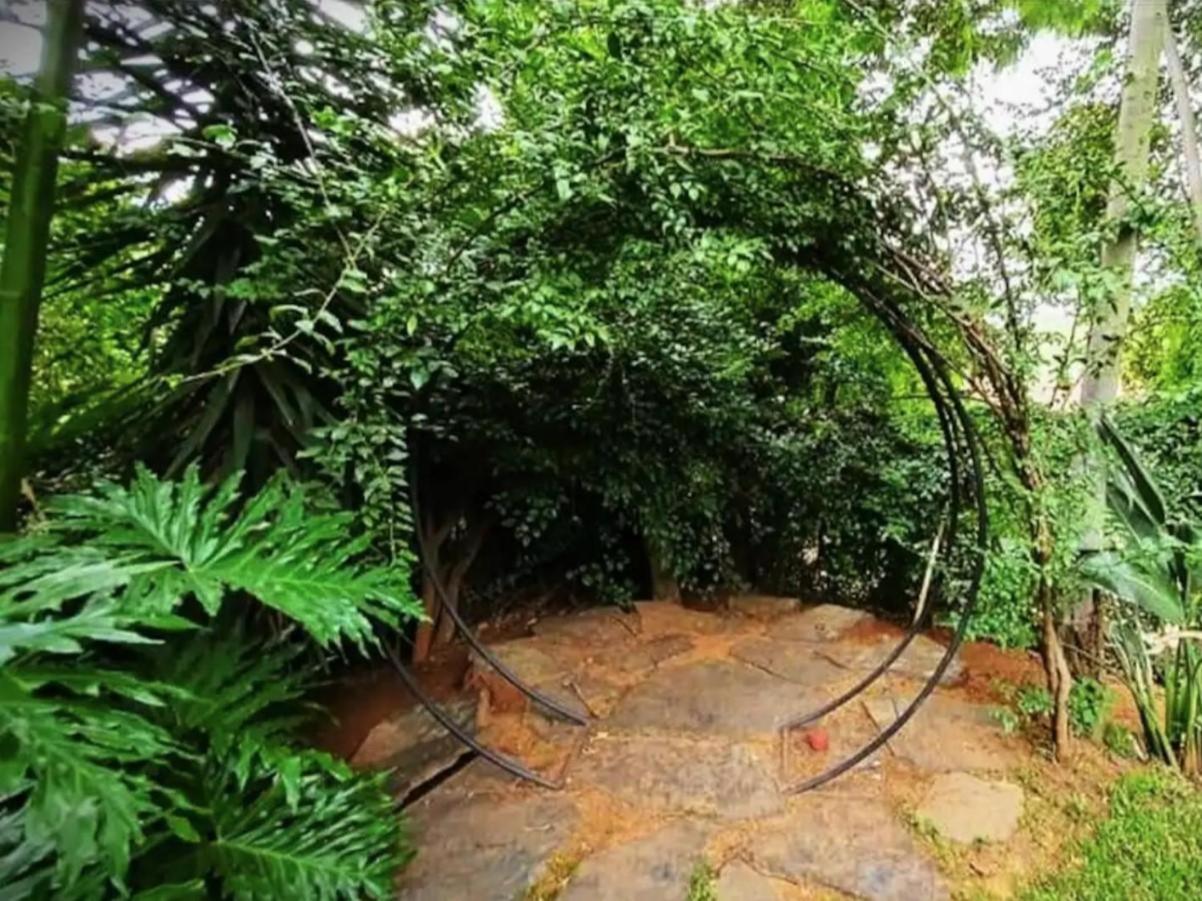 Loerie's Nest