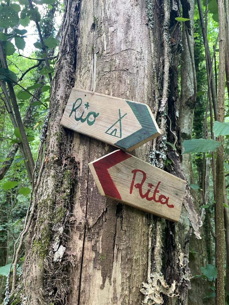 Camping RioRequesa