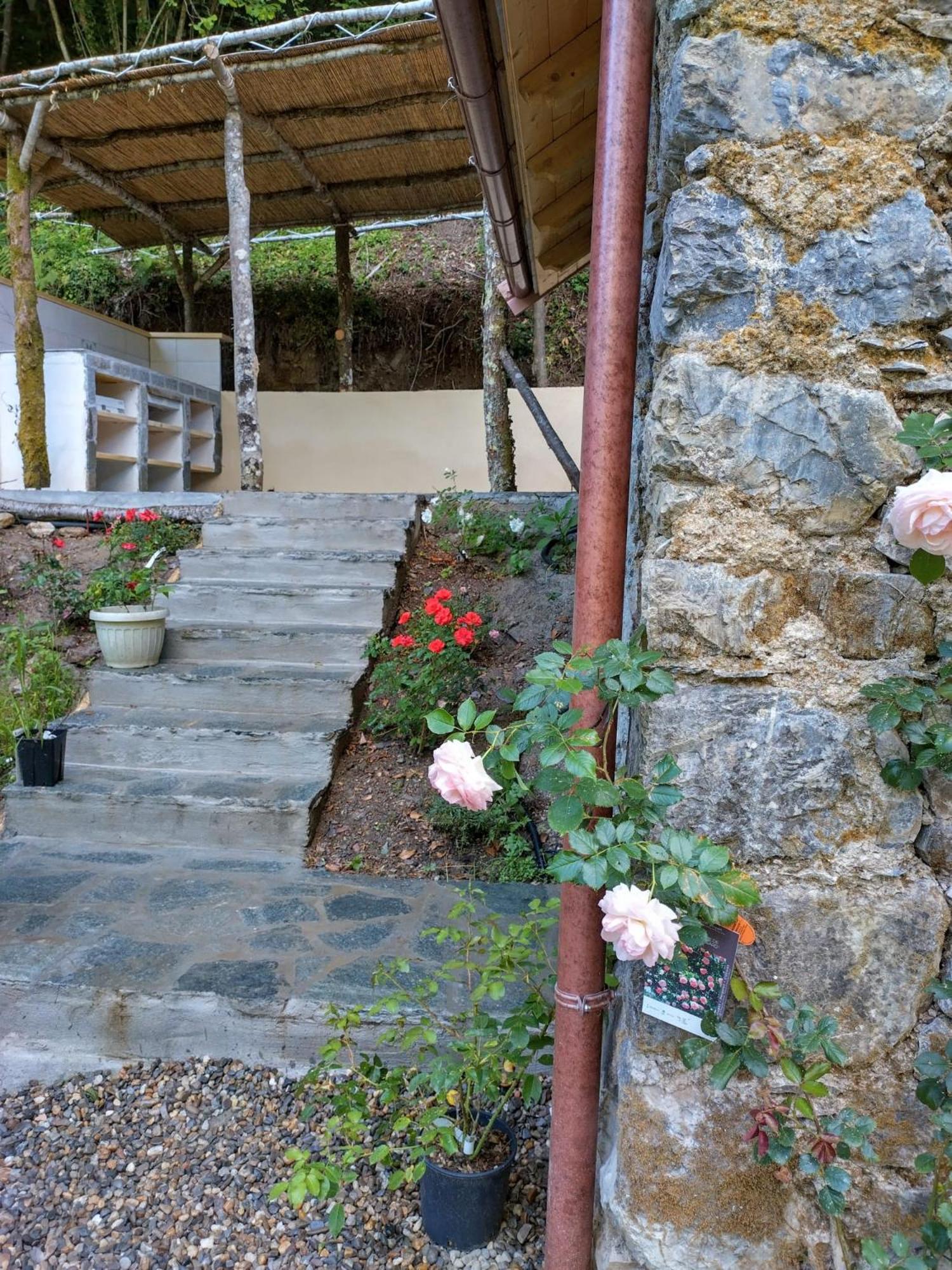 Camping RioRequesa