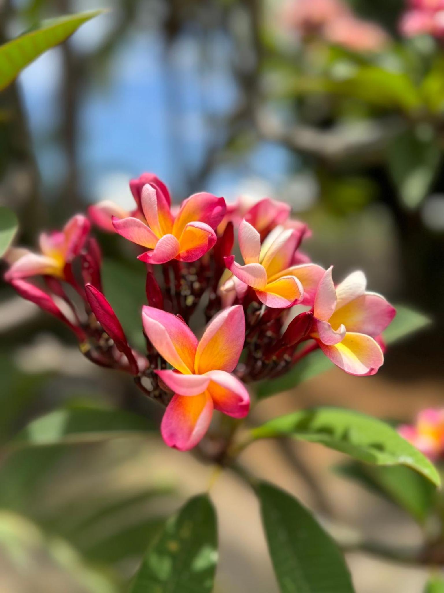 Photo 45