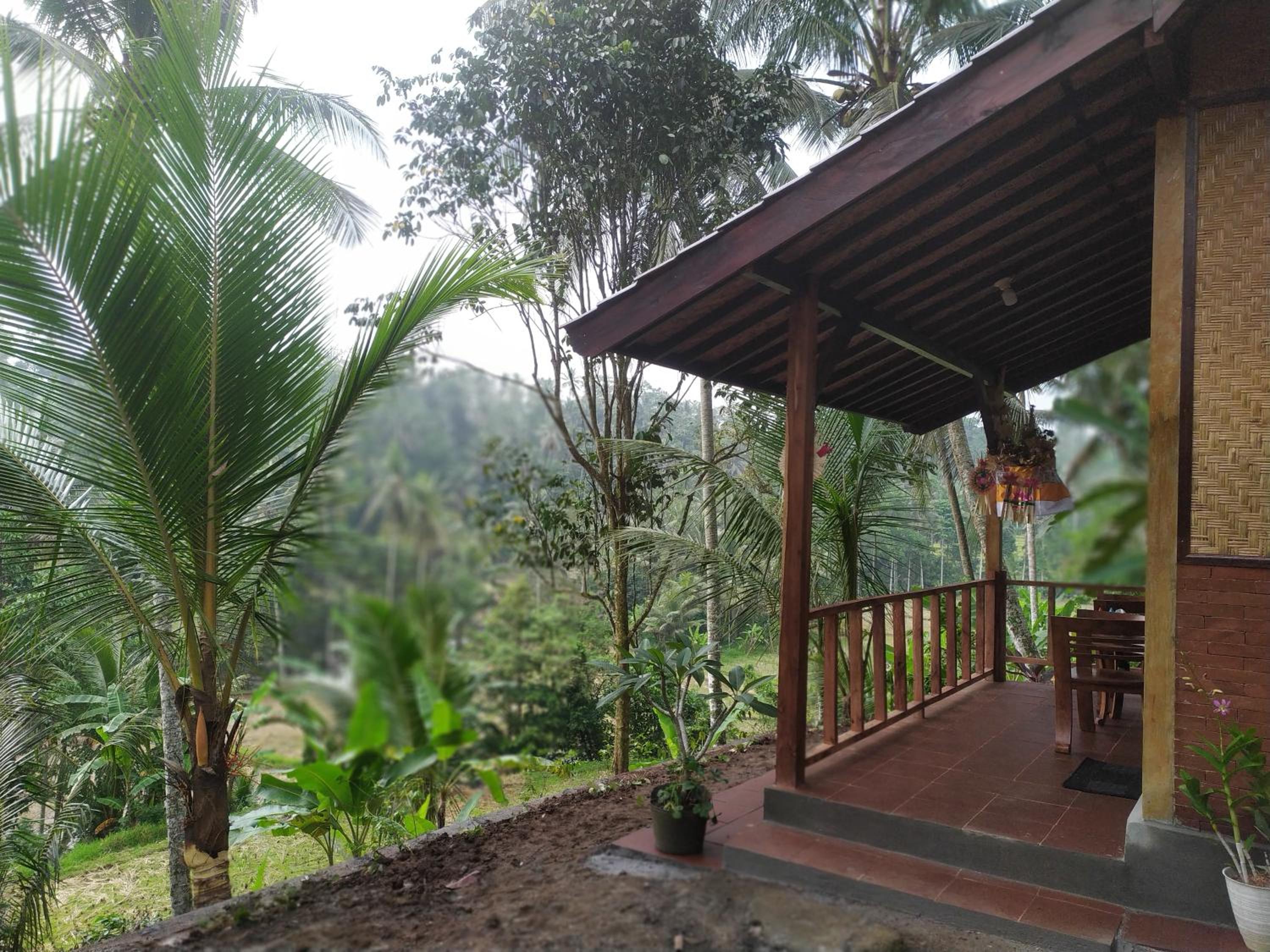 Cabin D Bendul and Warung view 5