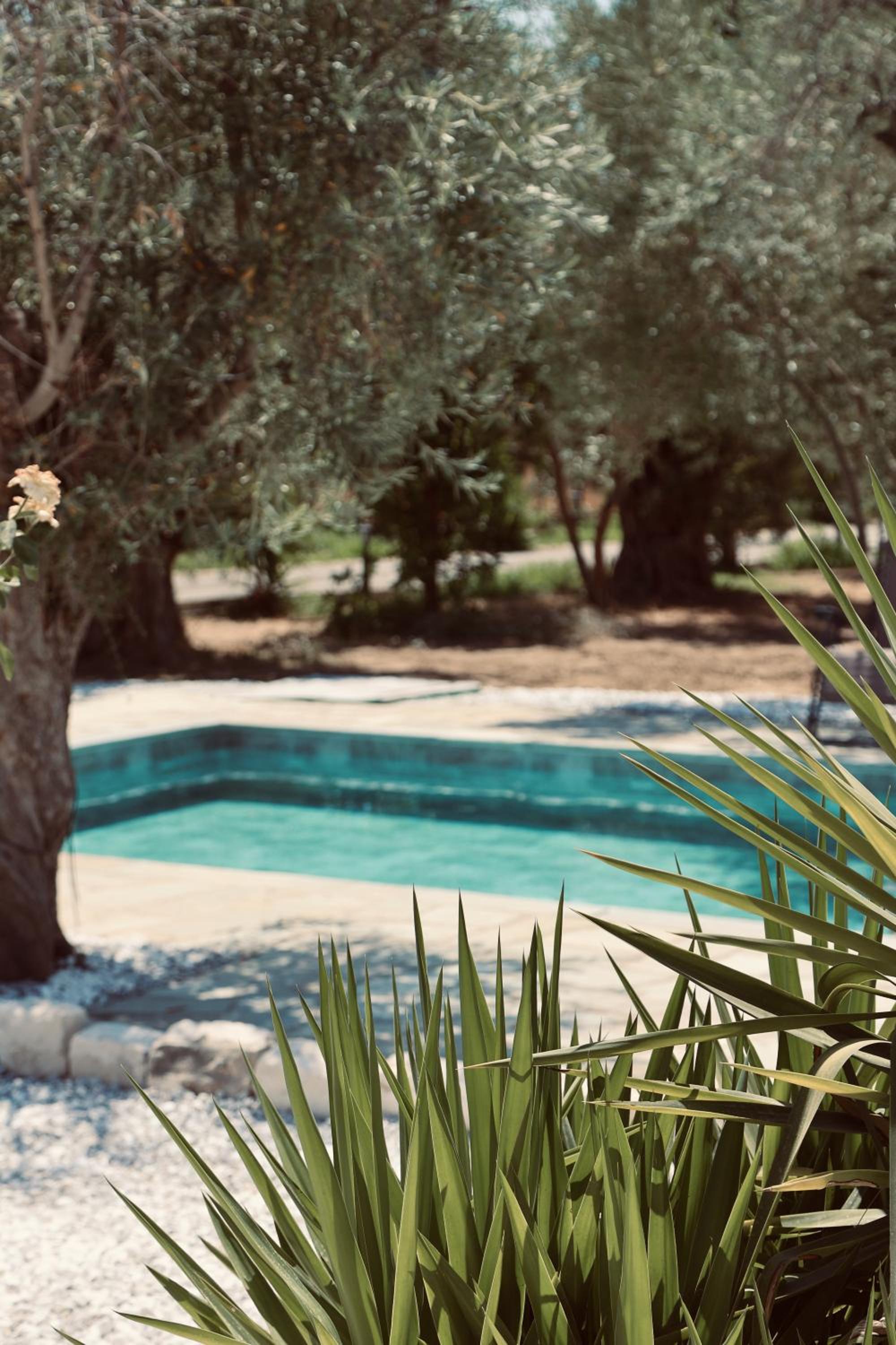 Iriti's Villa & Dahlia Studio