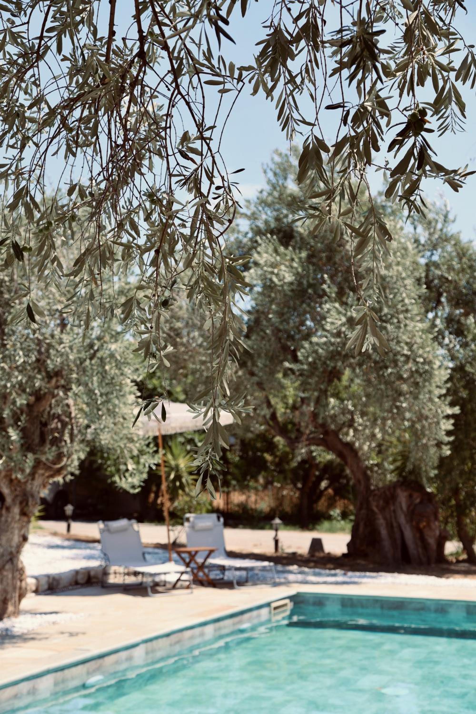 Iriti's Villa & Dahlia Studio