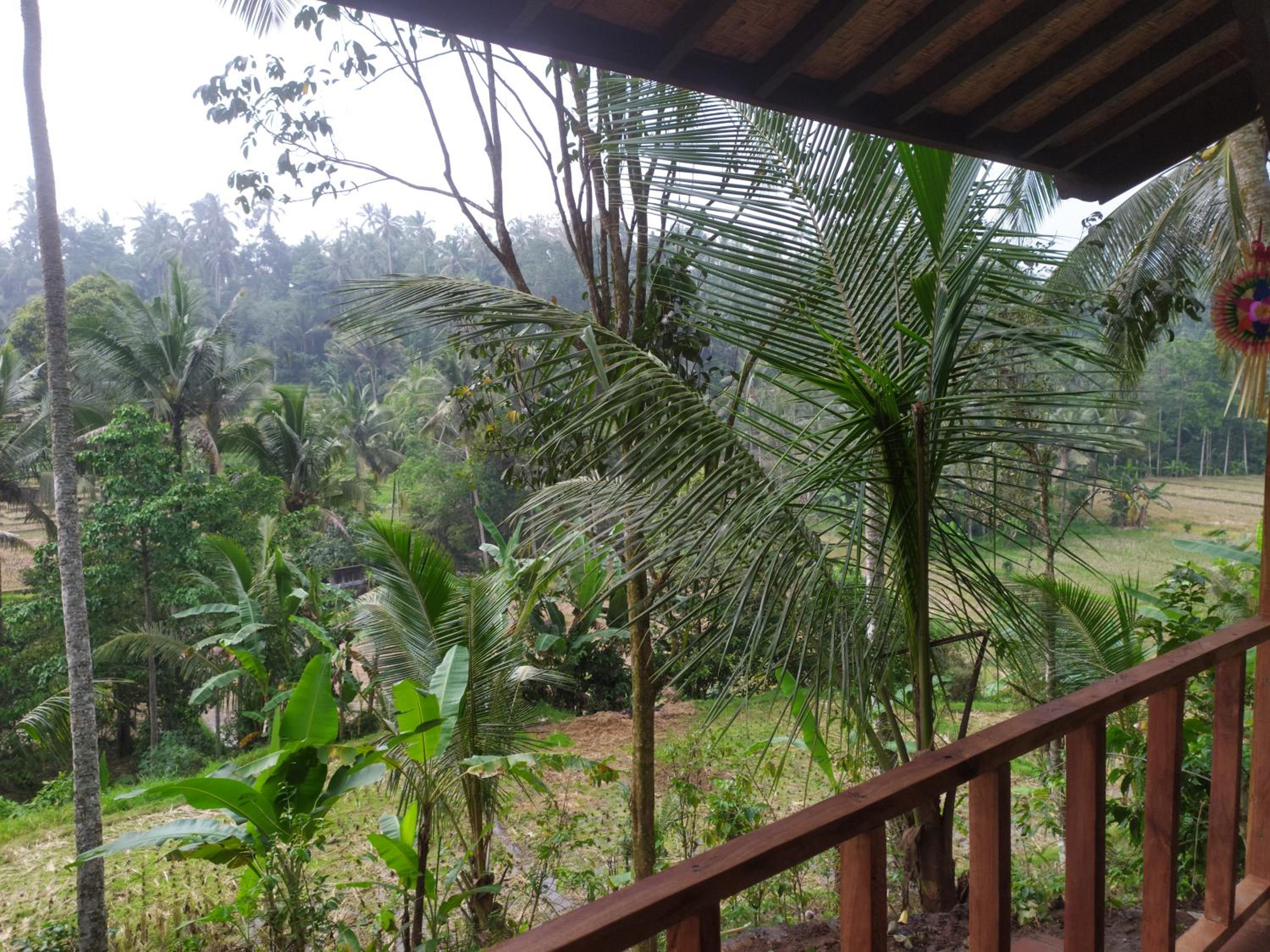 Cabin D Bendul and Warung view 4