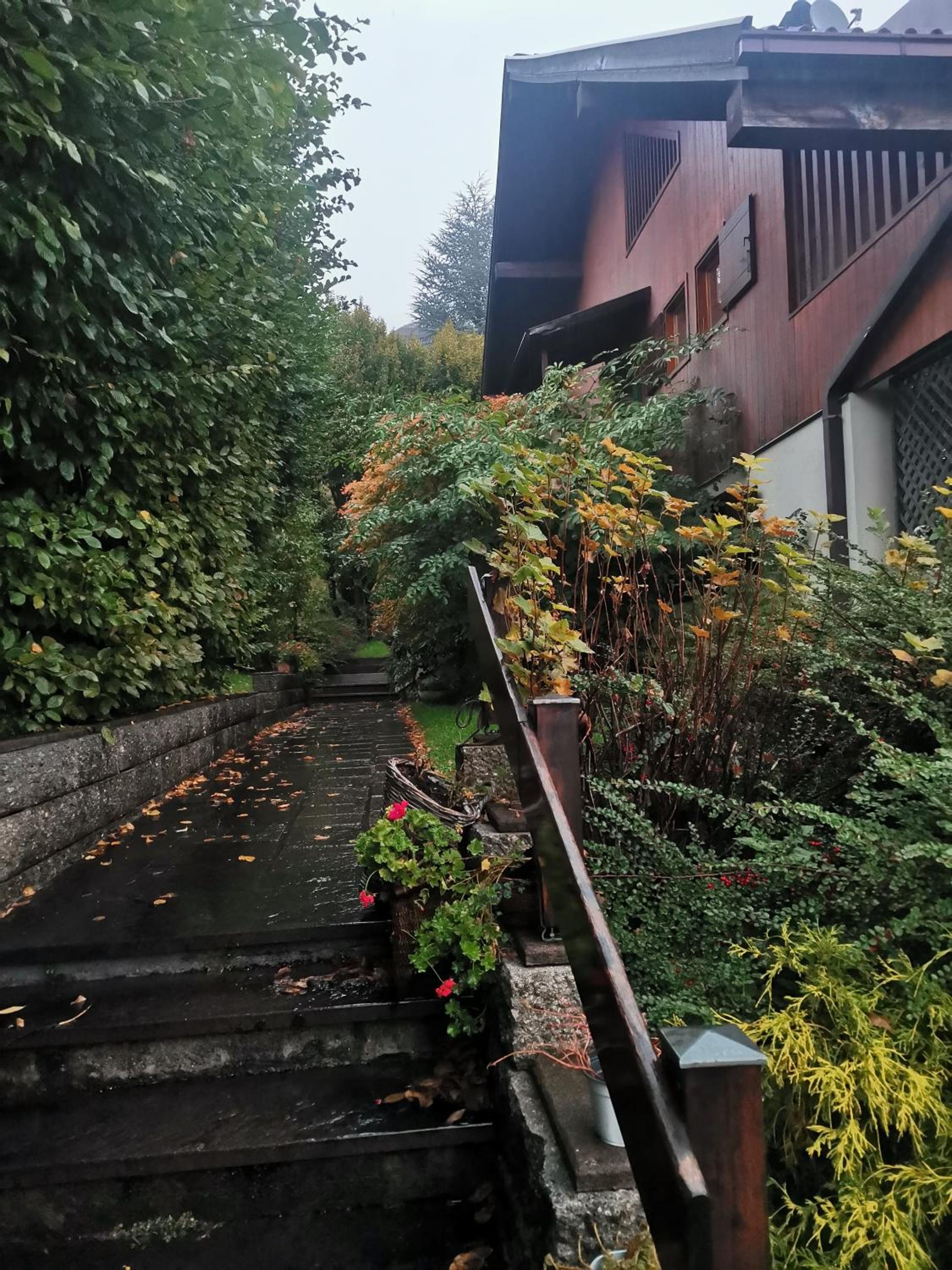 Chalet Genziana