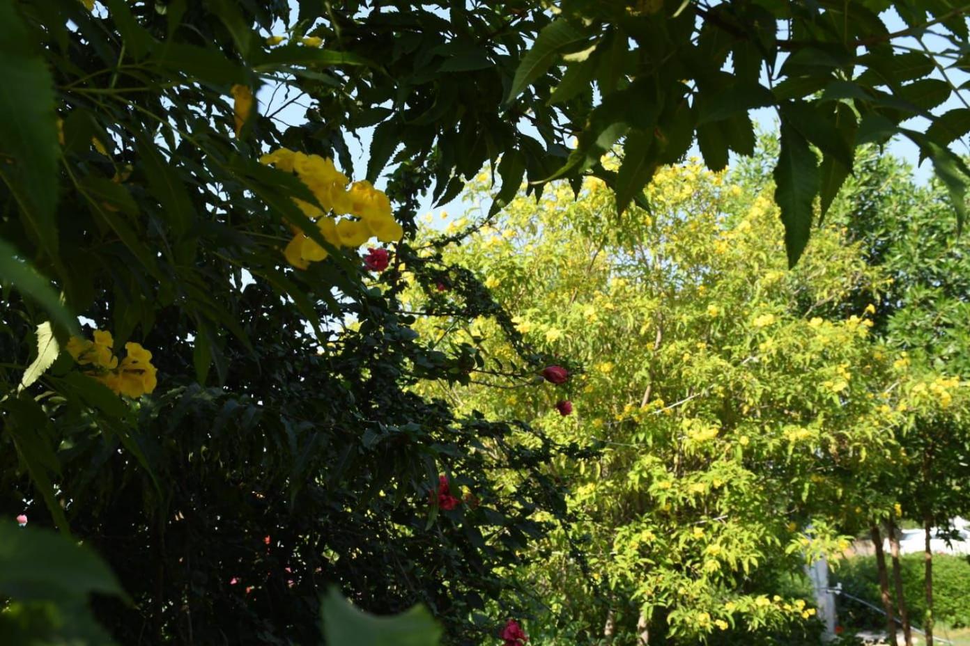 Vinayak Resort