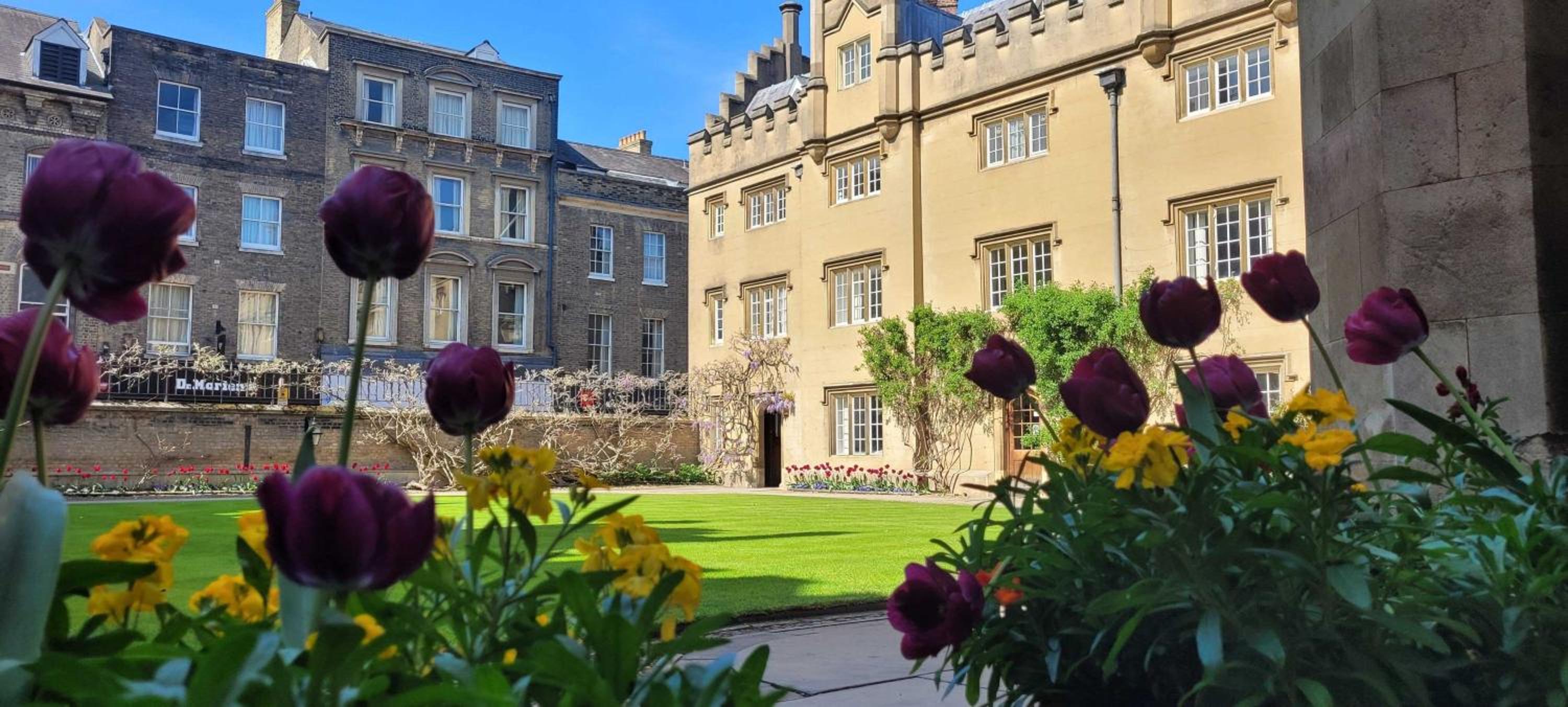 Sidney Sussex College, Cambridge view 3