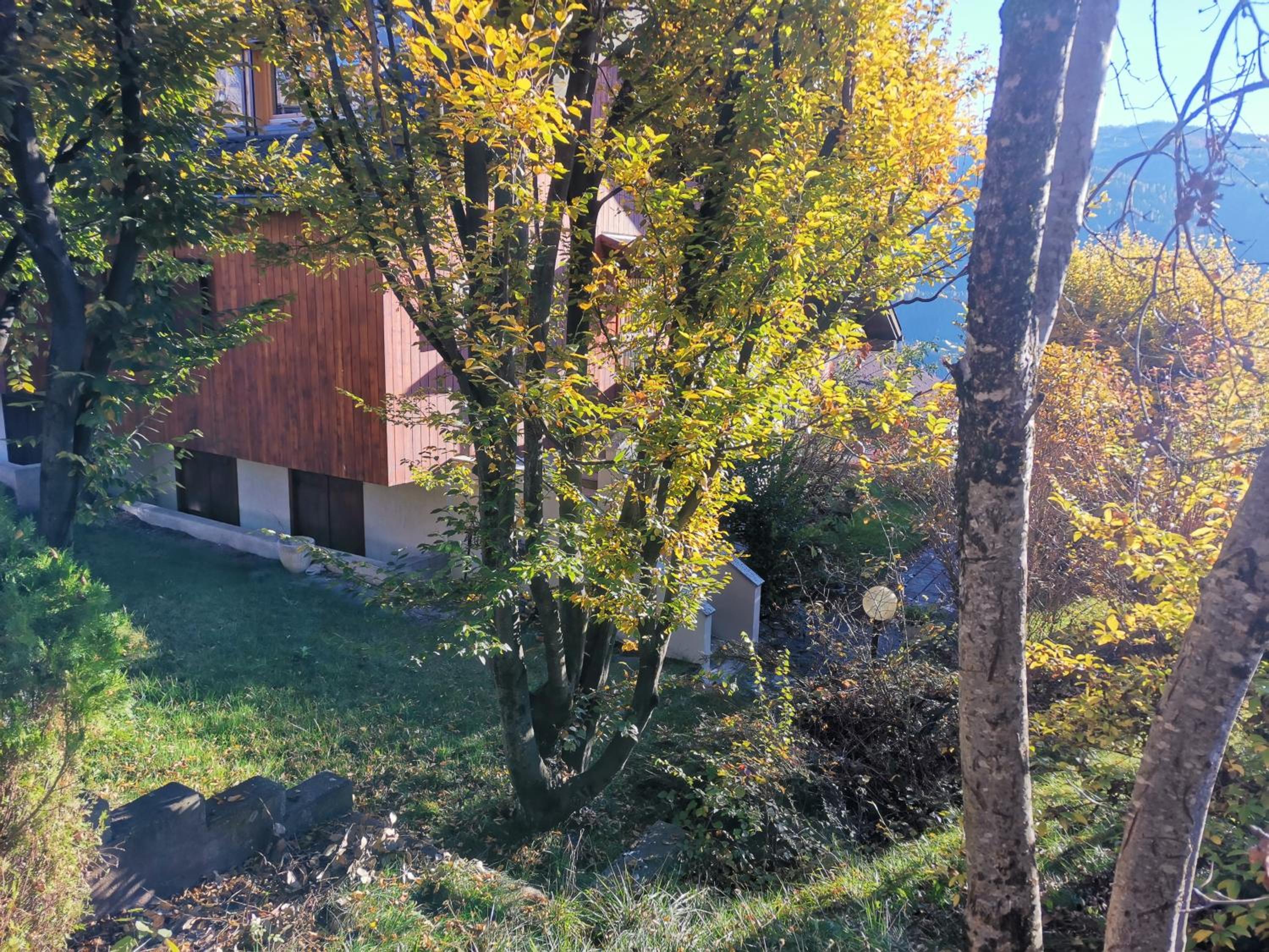 Chalet Genziana