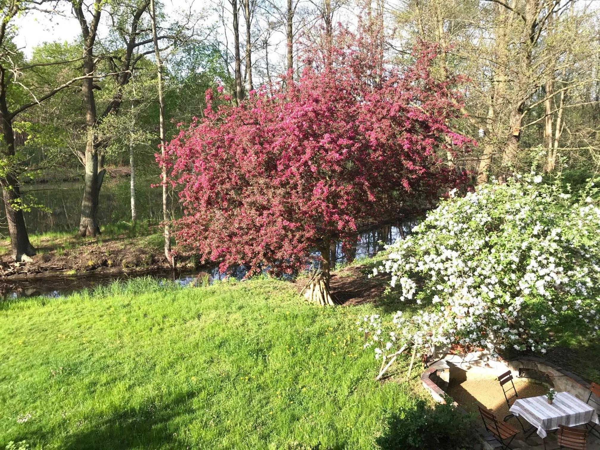 Romantische Ferienwohnung im Herrenhaus Wüstenhain Spreewald
