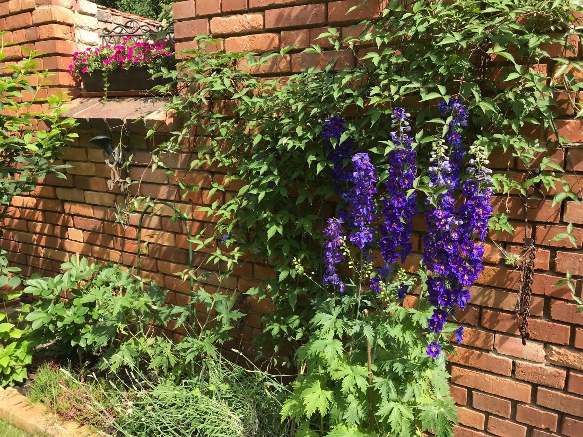 Romantische Ferienwohnung im Herrenhaus Wüstenhain Spreewald