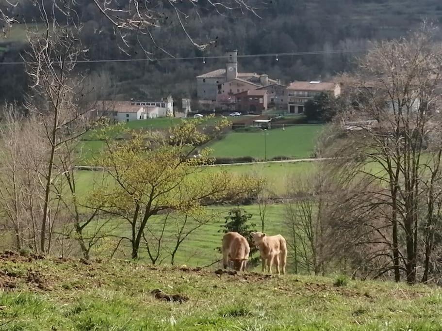 Bonica Caseta de fusta