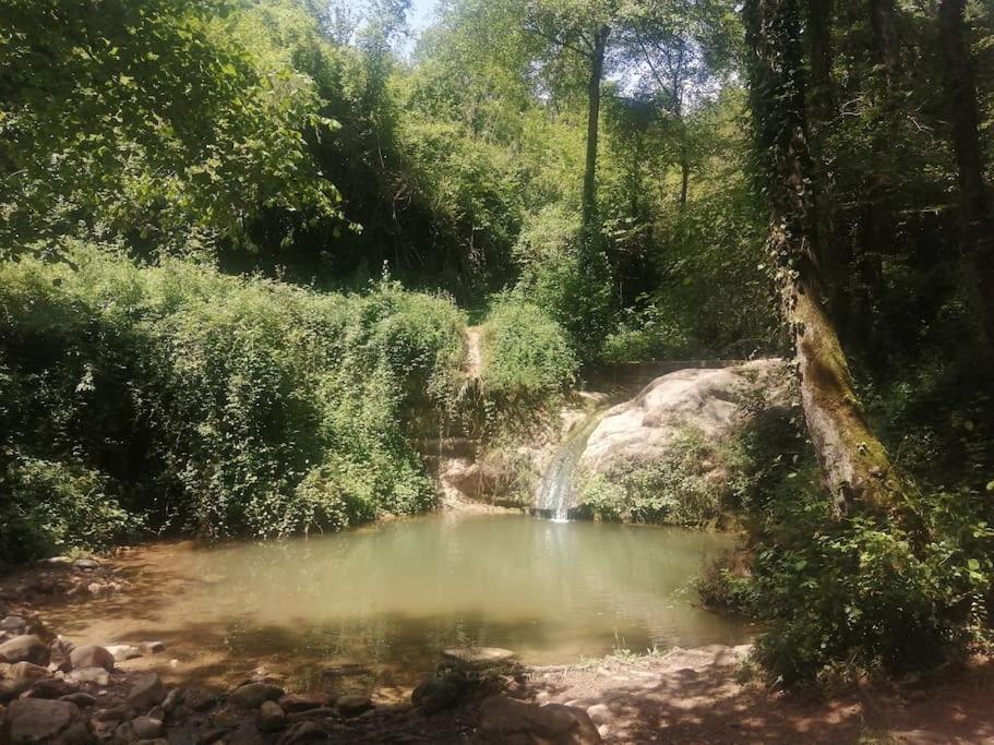 Bonica Caseta de fusta