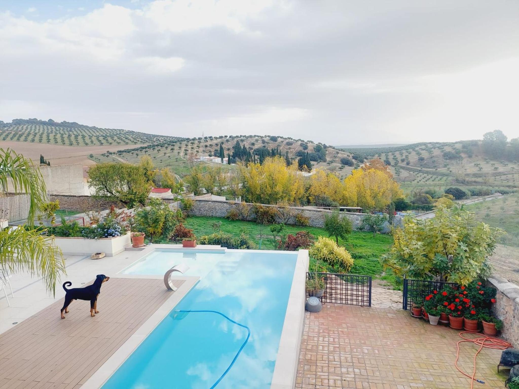 Casa del olivo Lucio