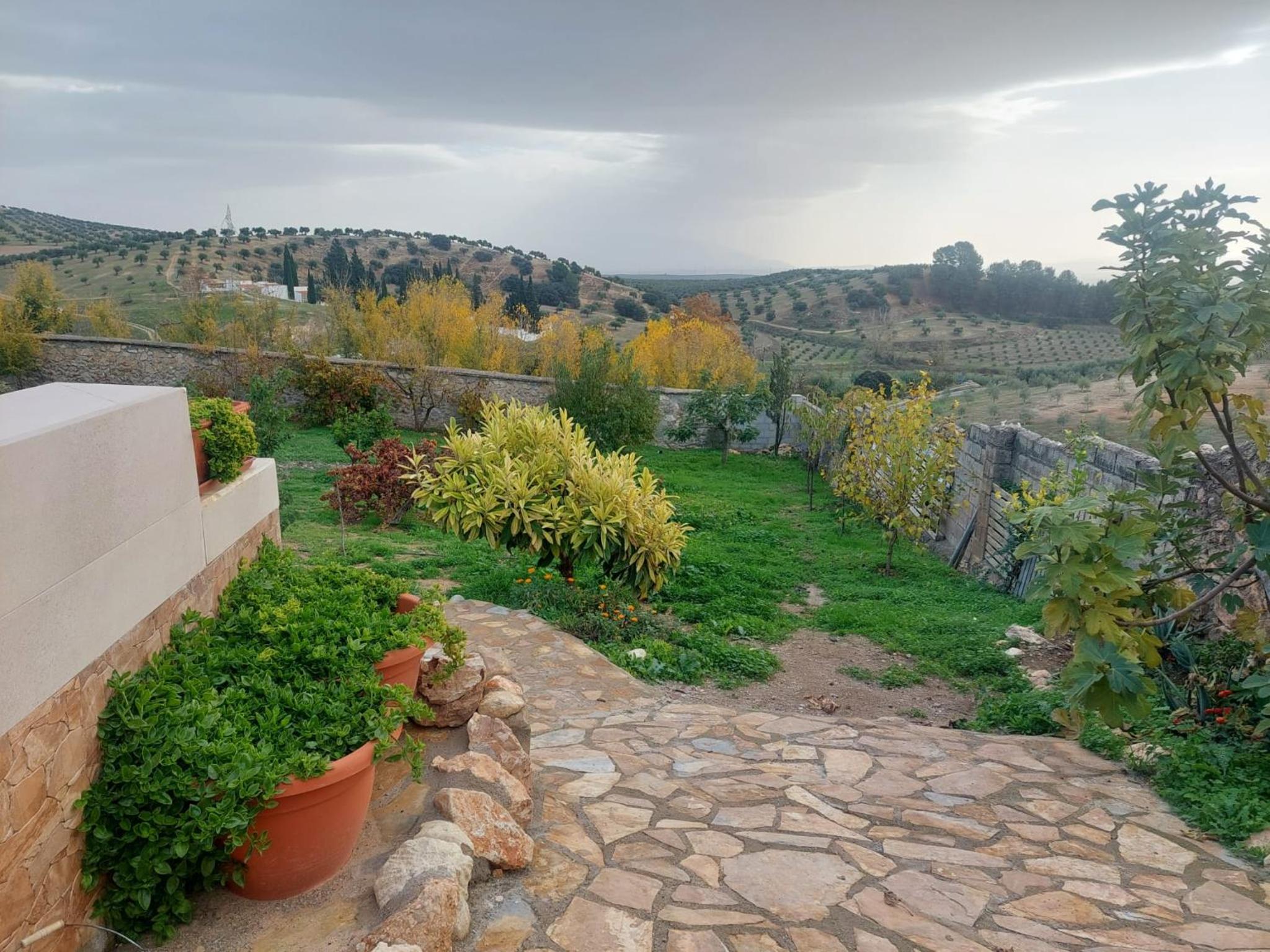 Casa del olivo Lucio