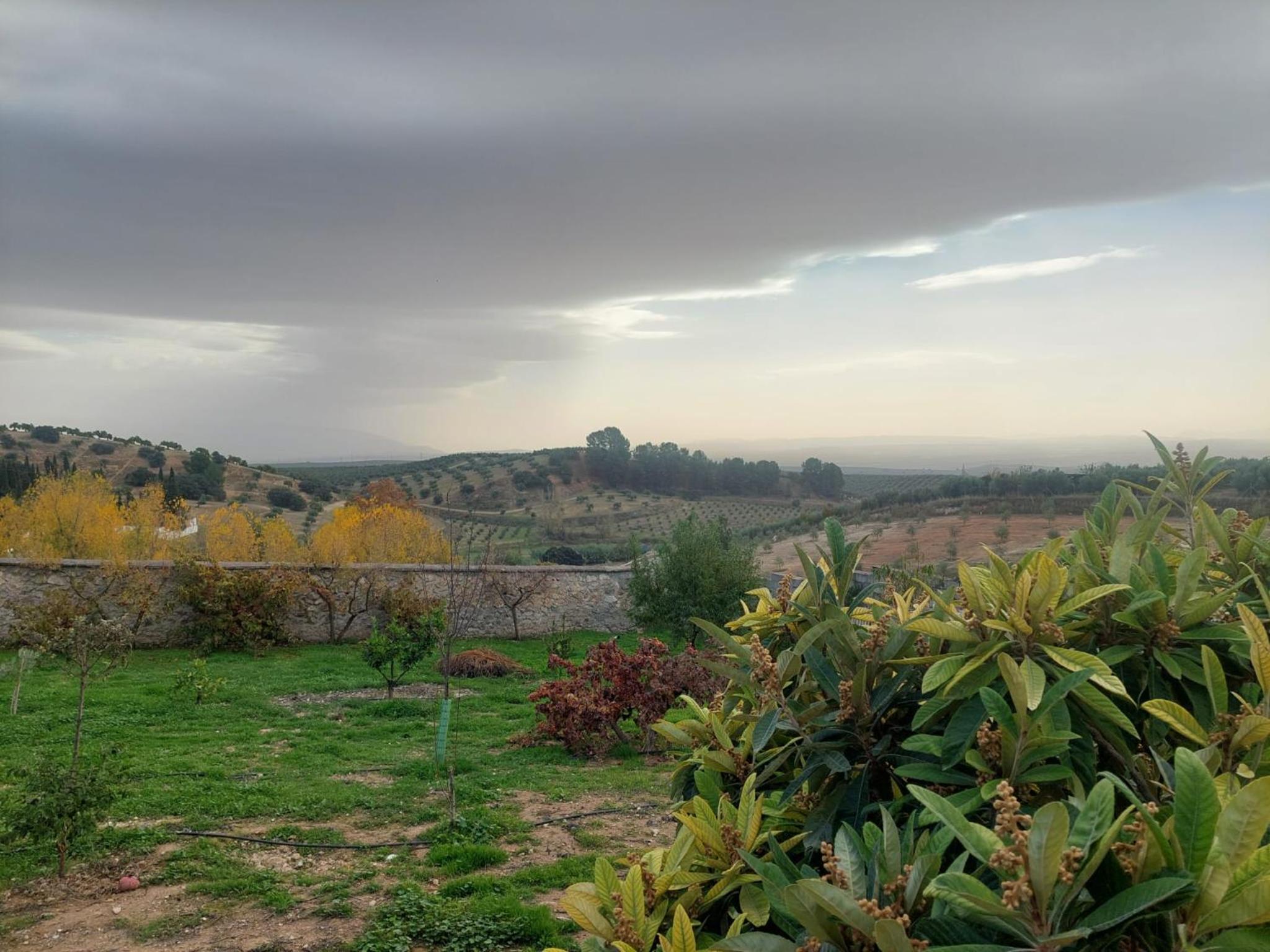 Casa del olivo Lucio