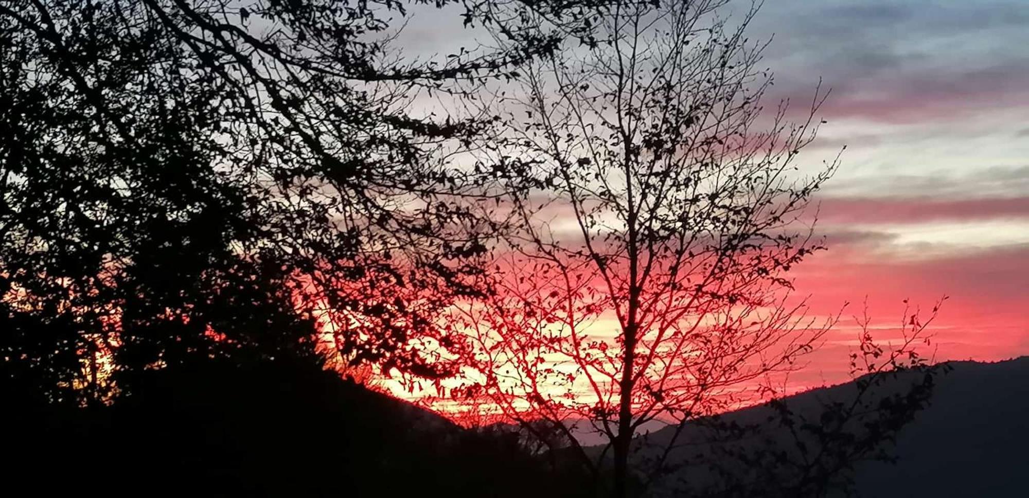 La casa dei Pasqui' view 5