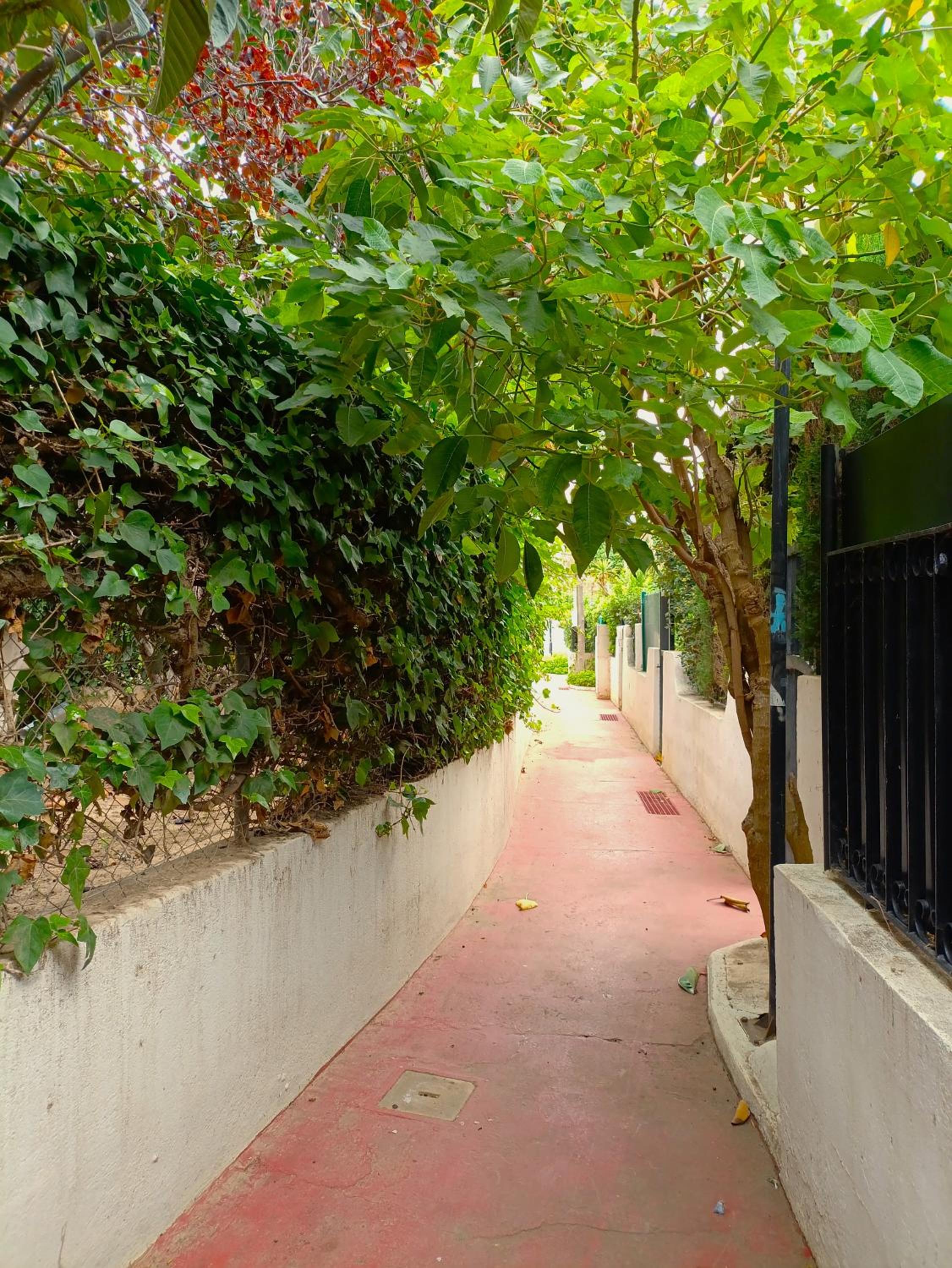 Play-Puig Beach Flat