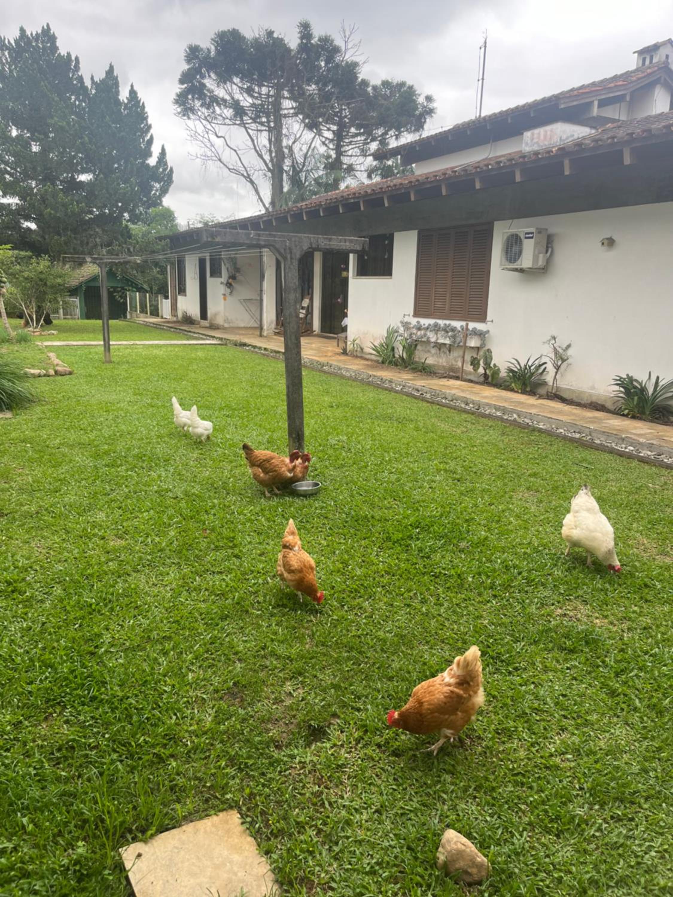 Casa de Campo no Centro de Pomerode