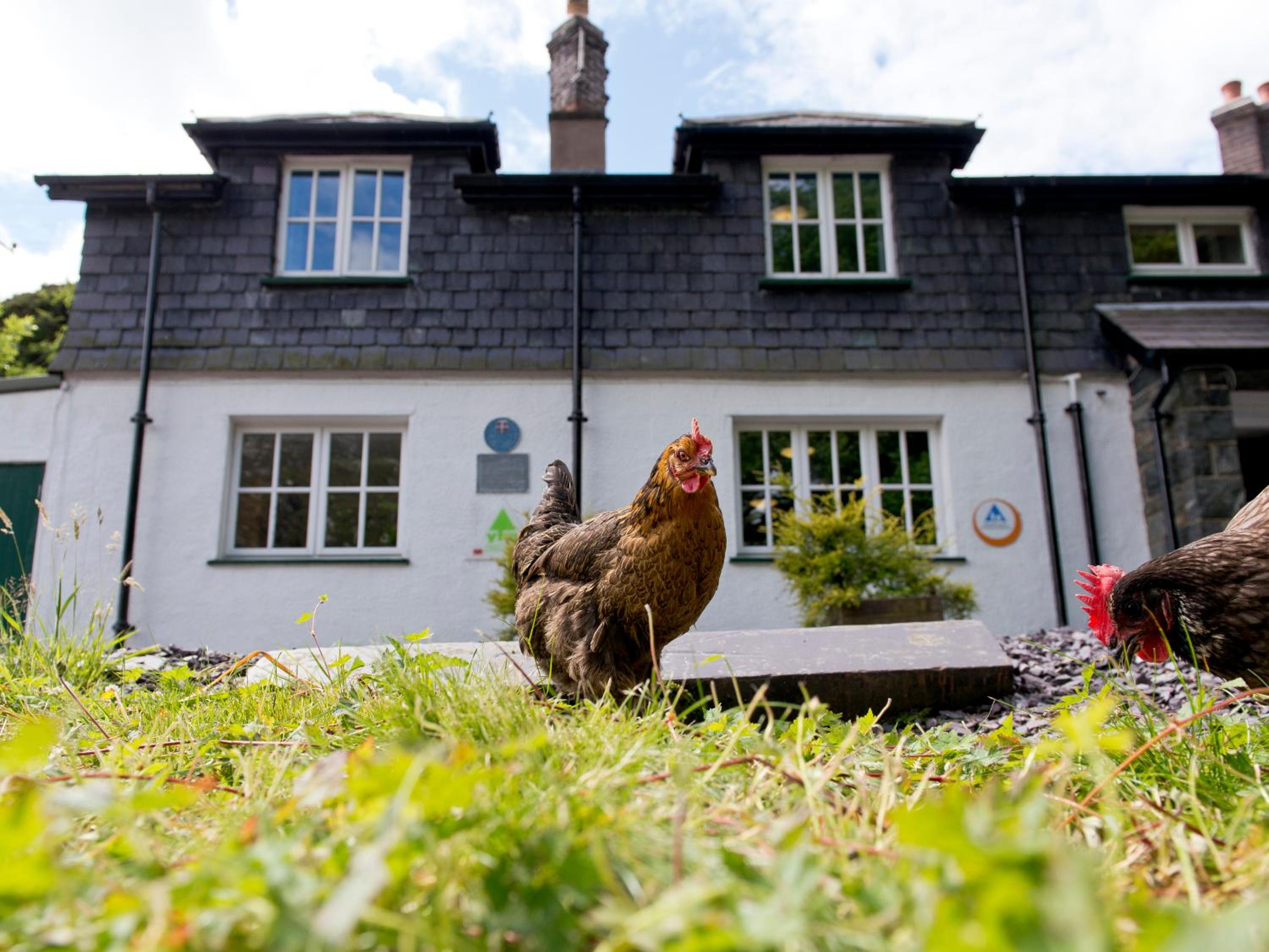 YHA Idwal Cottage