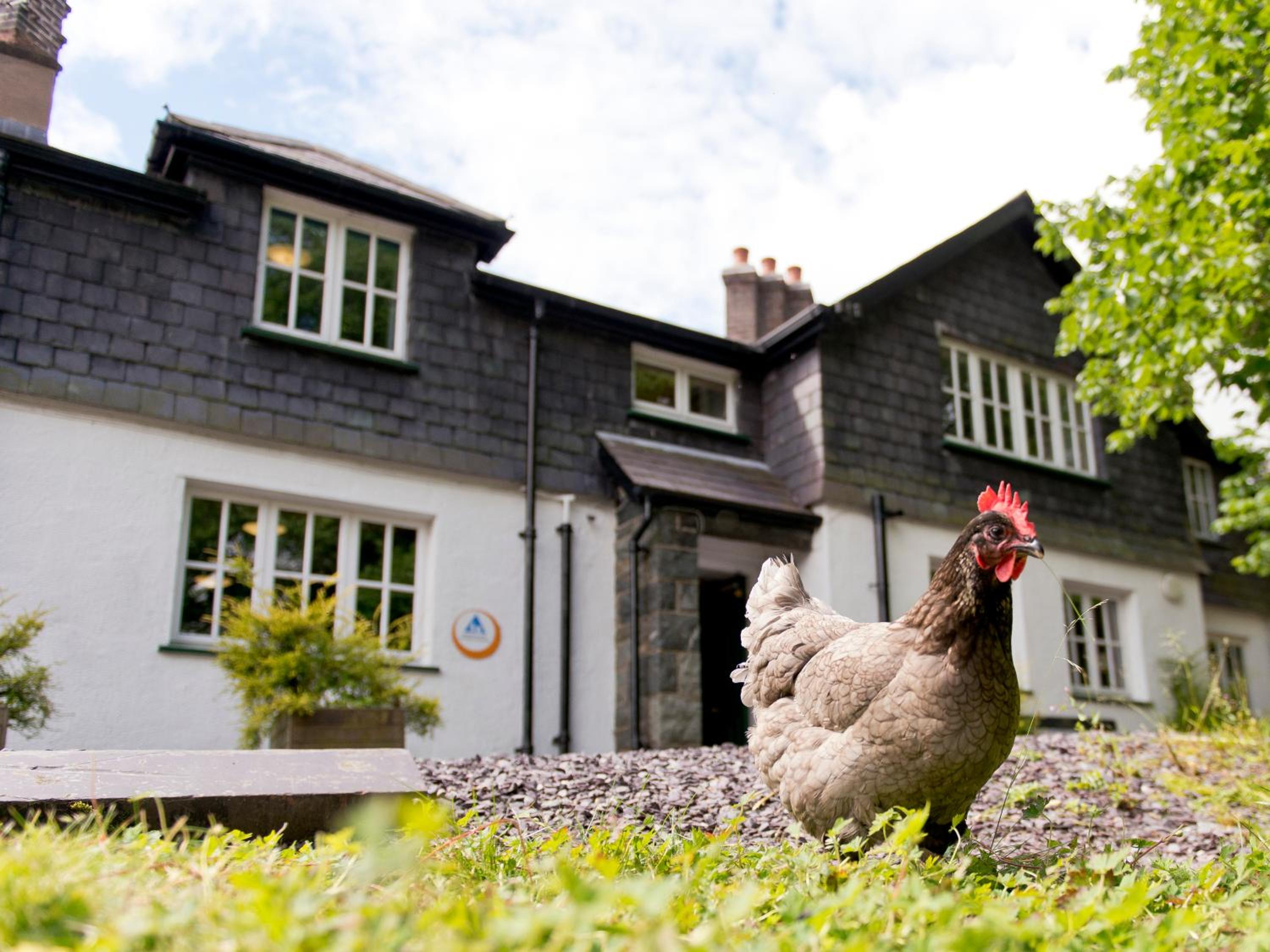 YHA Idwal Cottage