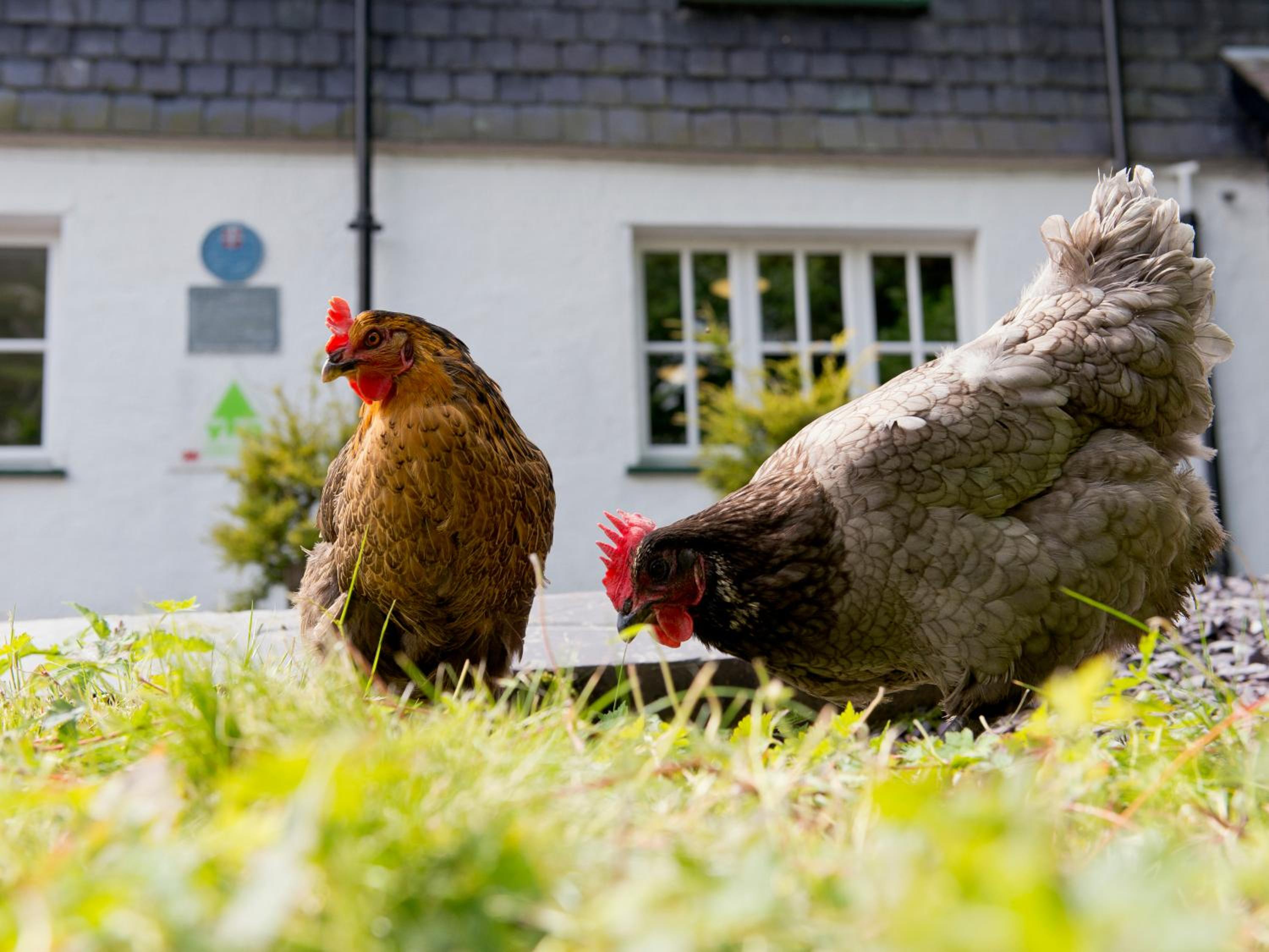 YHA Idwal Cottage