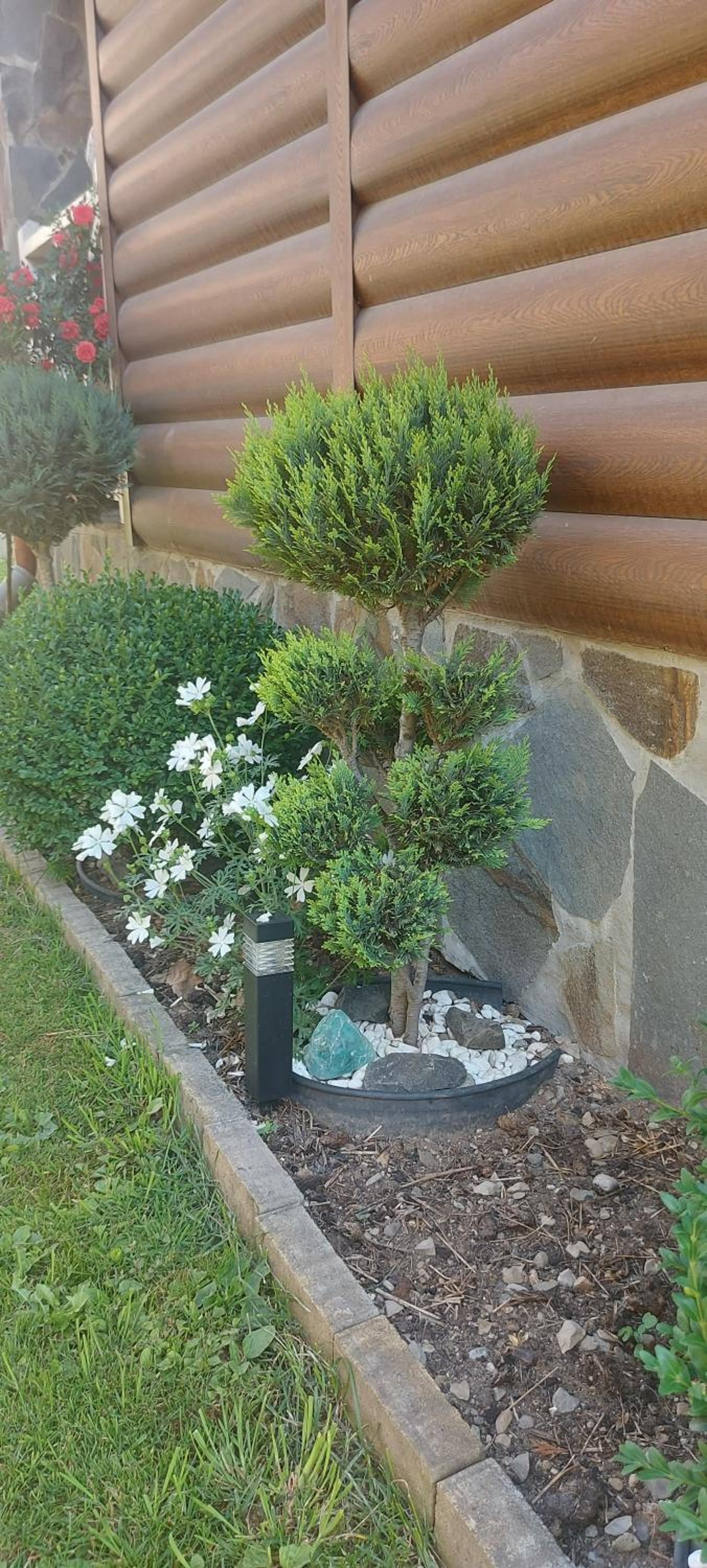 Photo 51