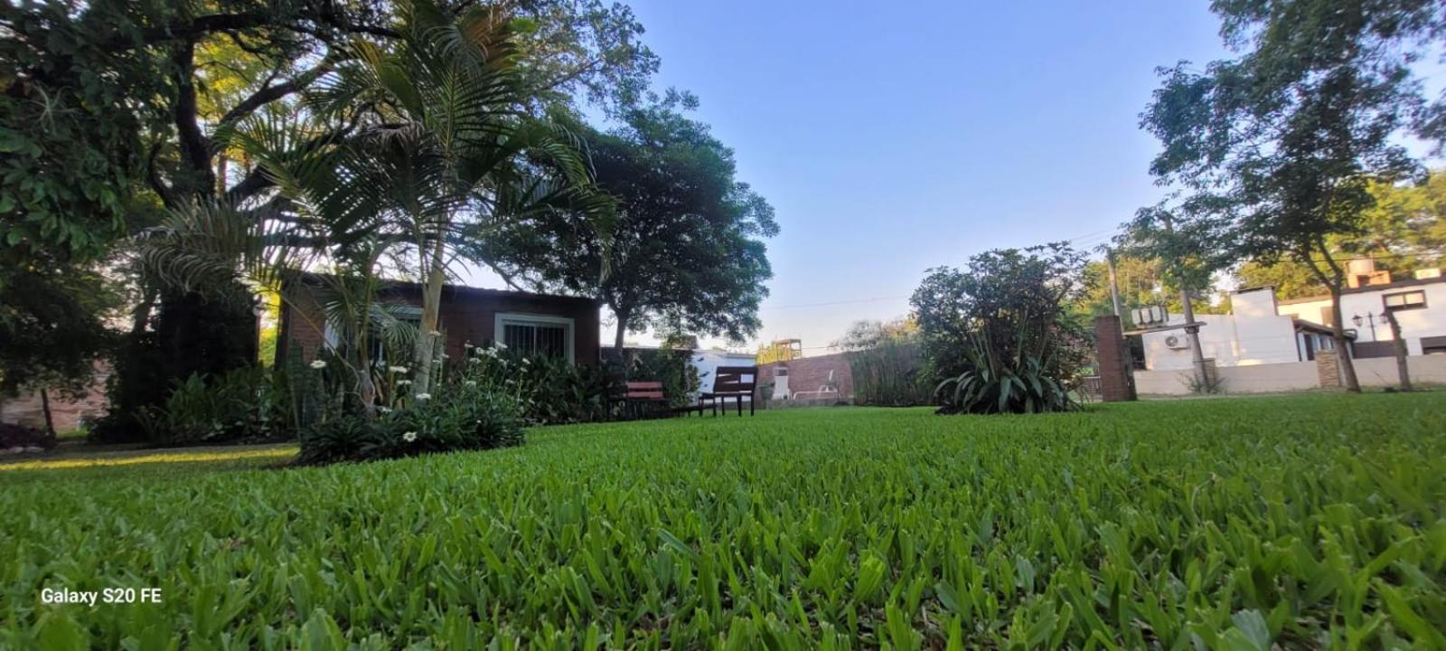 Casita del árbol solo para familias