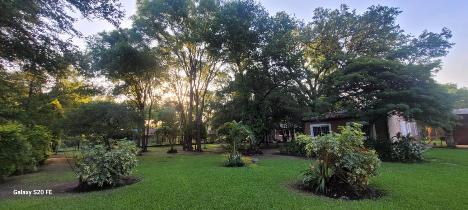 Casita del árbol solo para familias