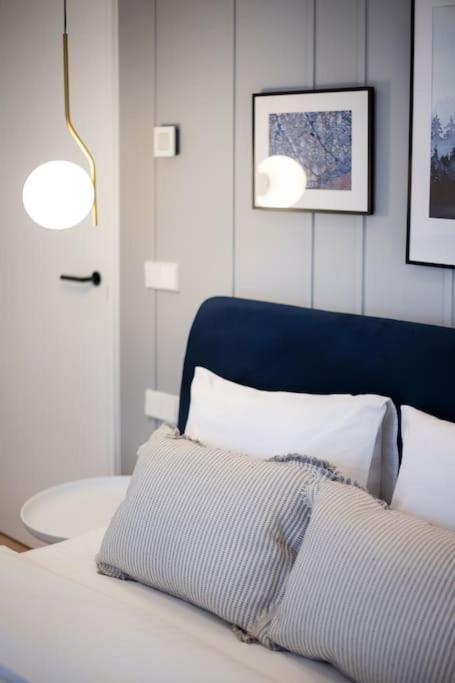 Stylish 2BDR free parking Paupys