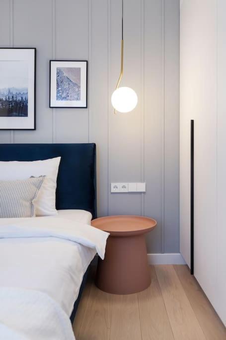 Stylish 2BDR free parking Paupys