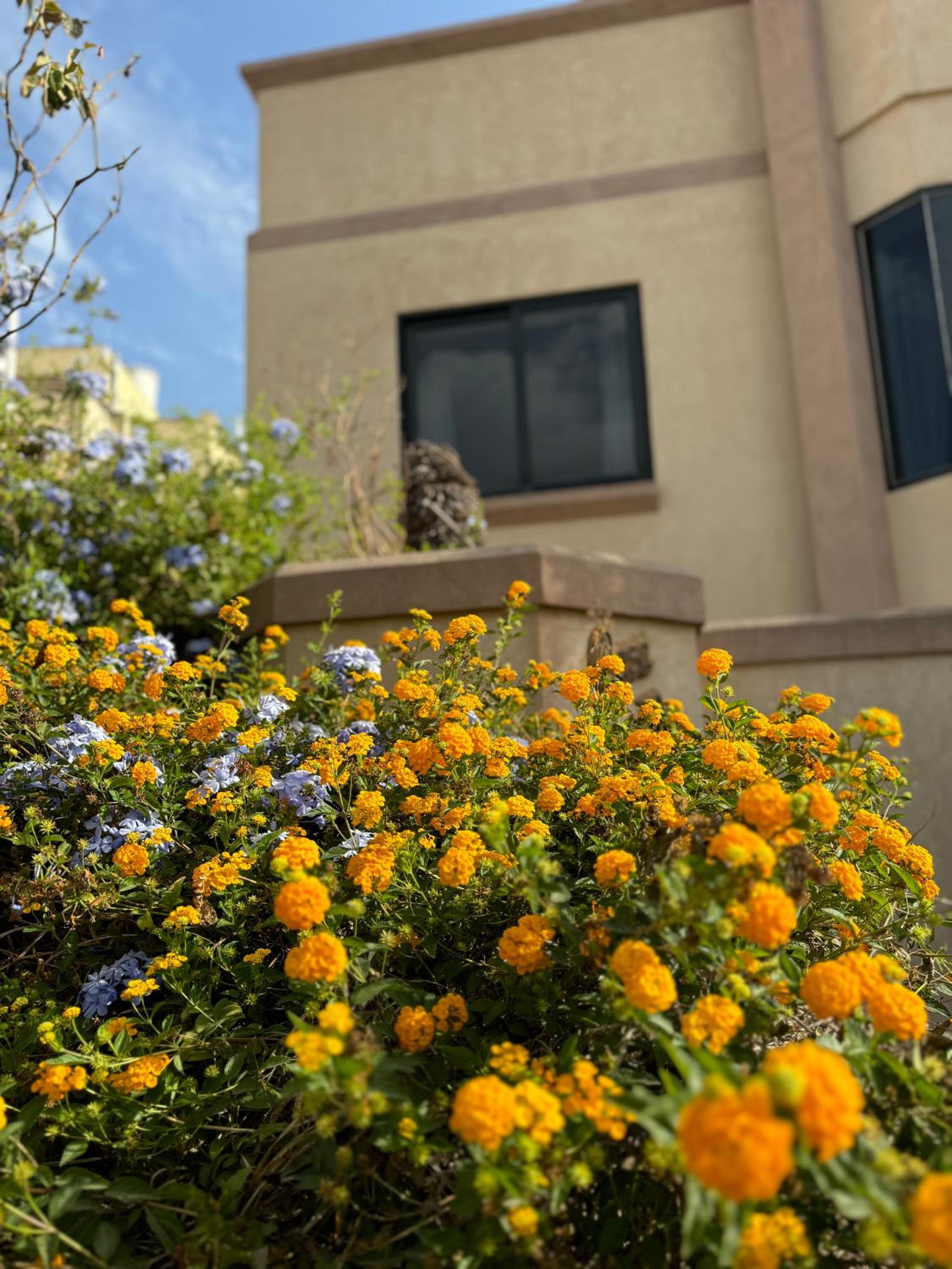 Villa St Julians — St Julian's