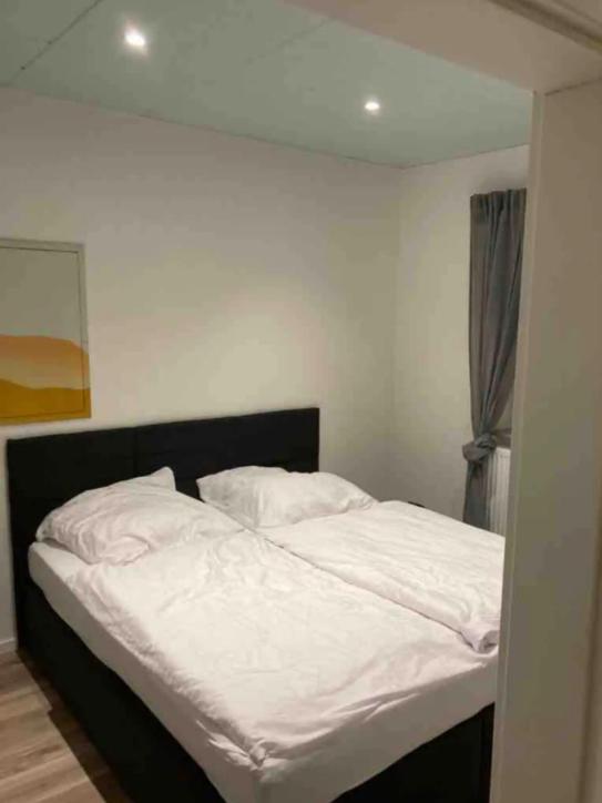 Loft apartments with 140 sqm of living space for rent
