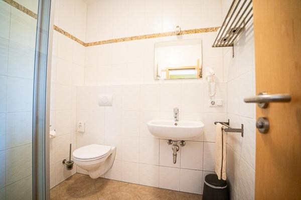 Hotel Donau-Ries - Property Image 2