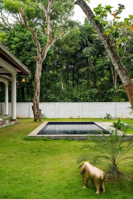 golden elephant villa