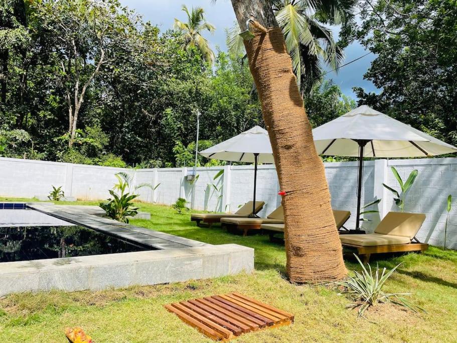 golden elephant villa