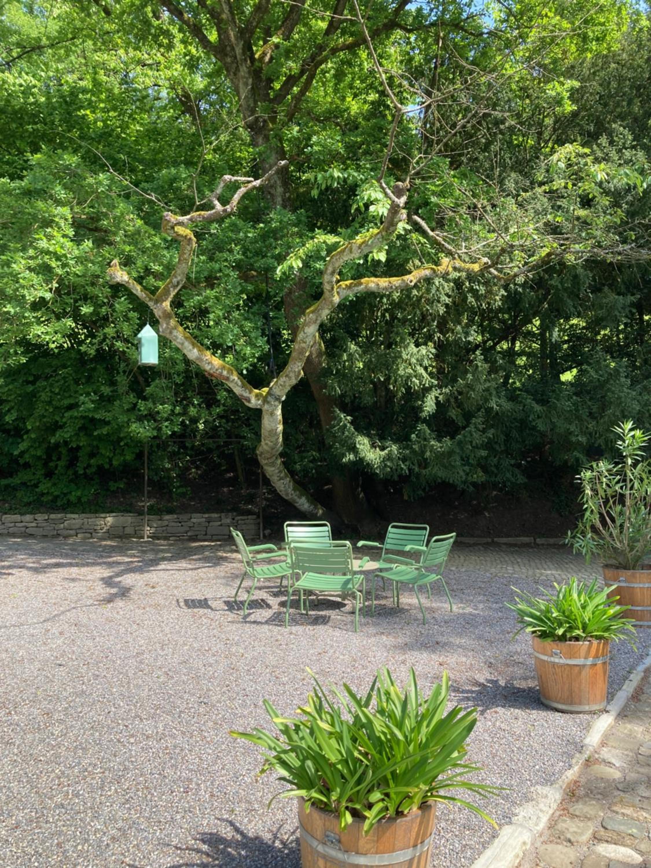 Kultur-Gästehaus Villa Sonnenberg