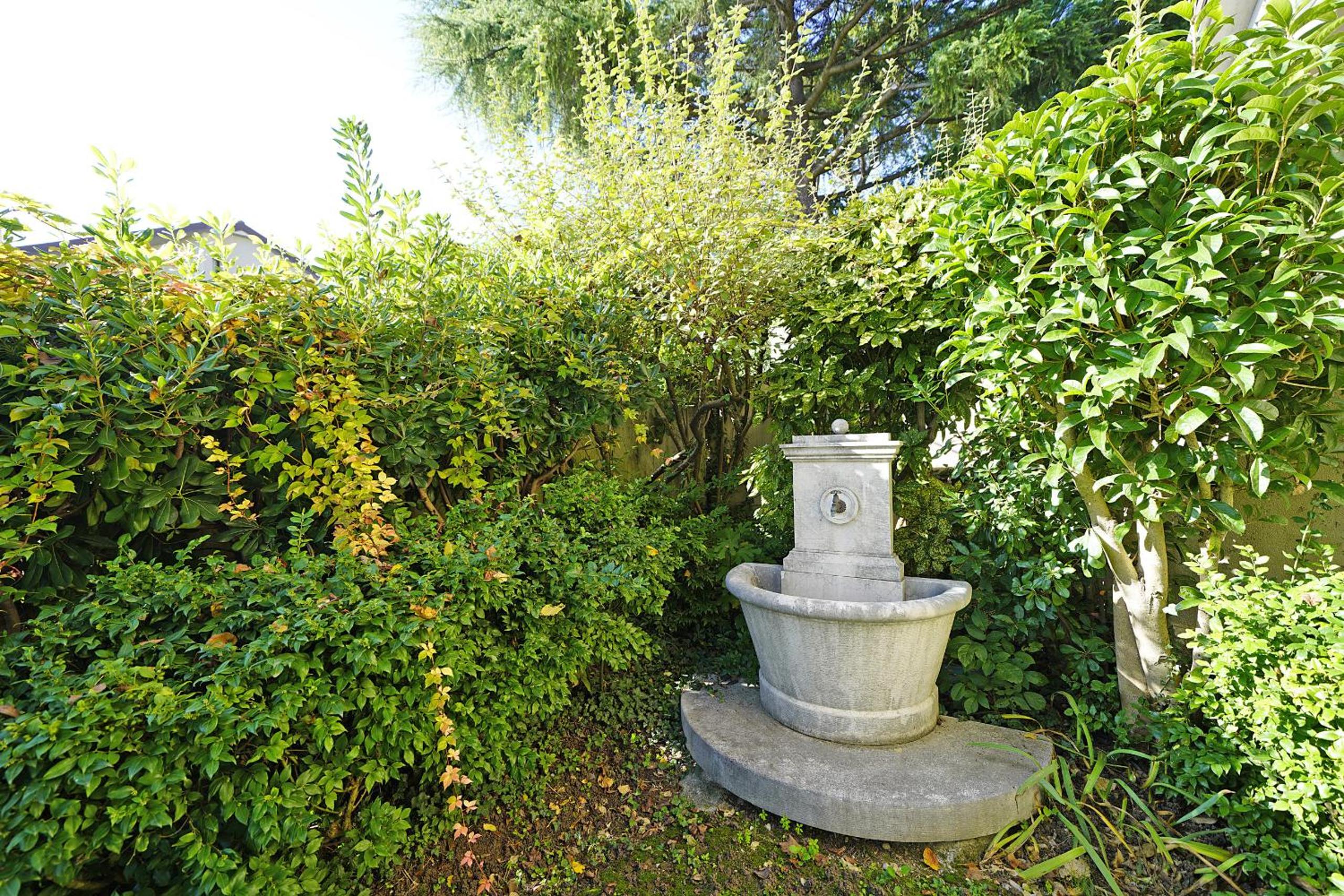 Photo 31