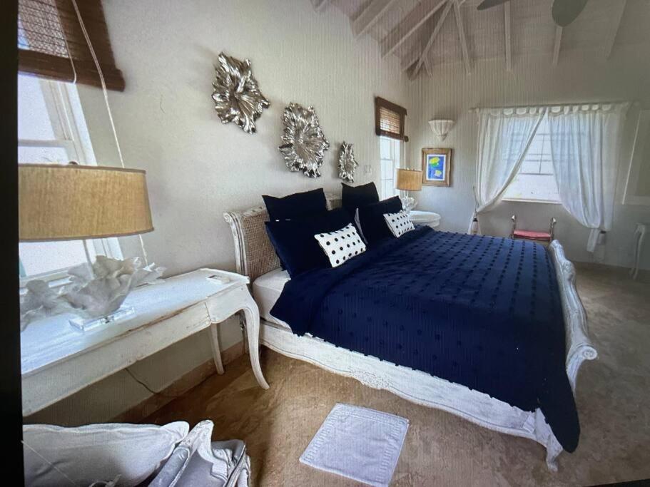Larimar 6 Bed 6 bath Luxury Ocean Front Villa