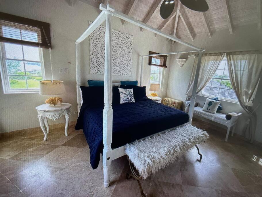 Larimar 6 Bed 6 bath Luxury Ocean Front Villa