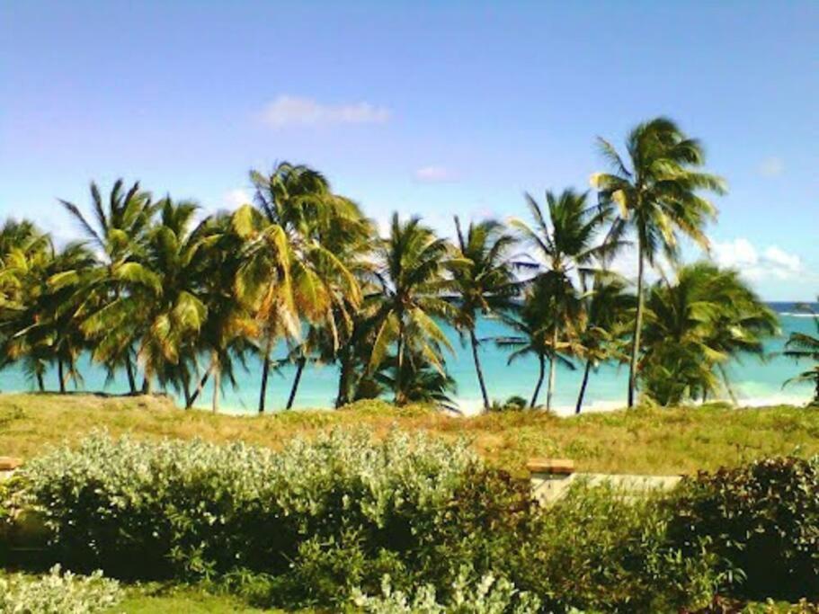 Larimar 6 Bed 6 bath Luxury Ocean Front Villa