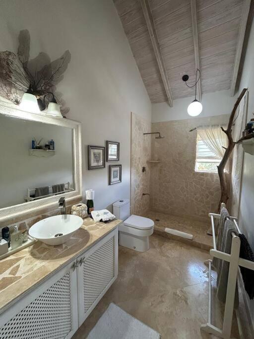Larimar 6 Bed 6 bath Luxury Ocean Front Villa
