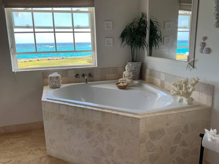 Larimar 6 Bed 6 bath Luxury Ocean Front Villa